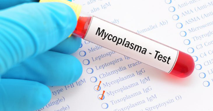 Mycoplasma Testing